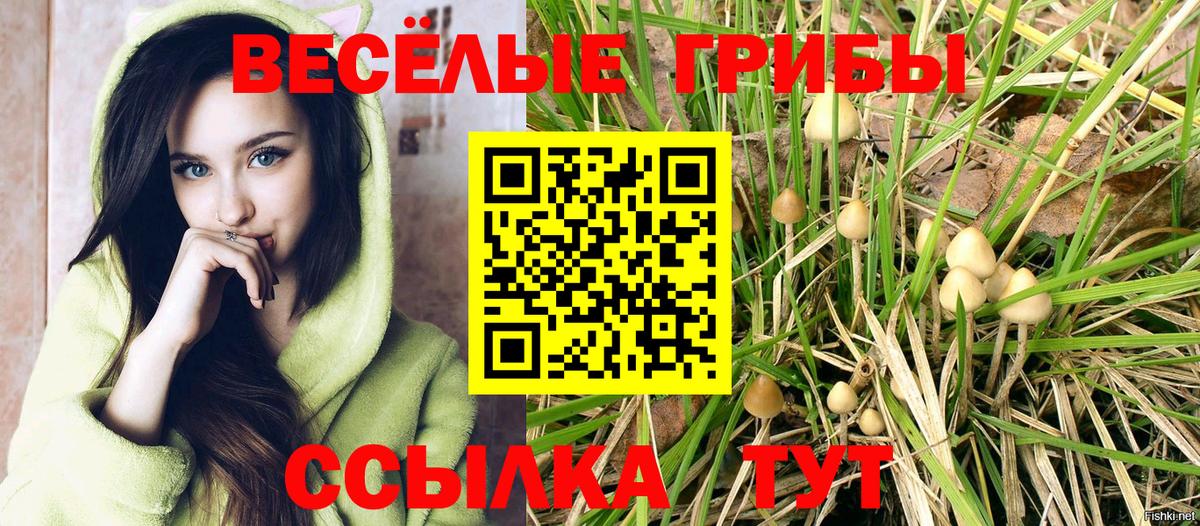 Гагарин  Галлюциногенные грибы мухоморы  Псилоцибиновые грибы Psilocybe  Вход с VPN 