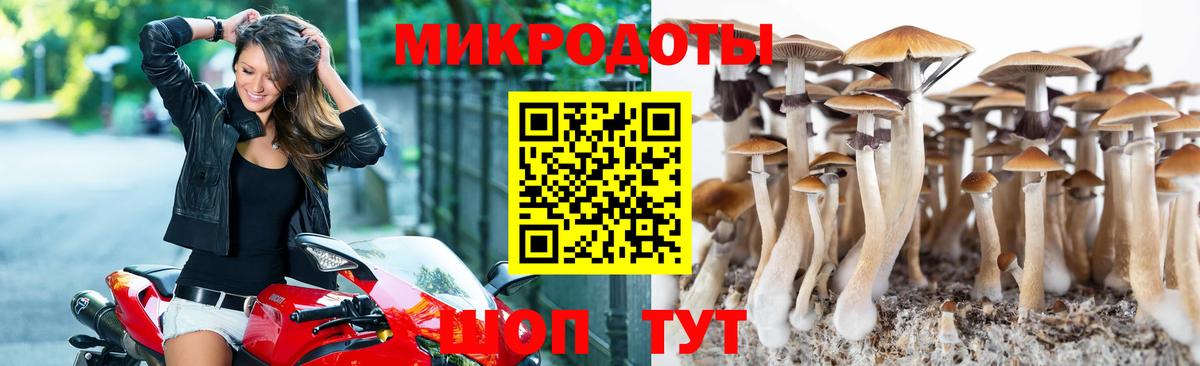Псилоцибиновые грибы Psilocybine cubensis Гагарин